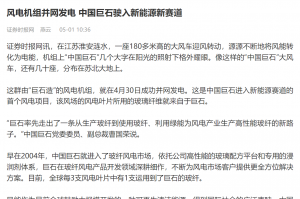 时报：风电机组并网发电 中国PG电子·麻将胡了官方网站驶入新能源新赛道